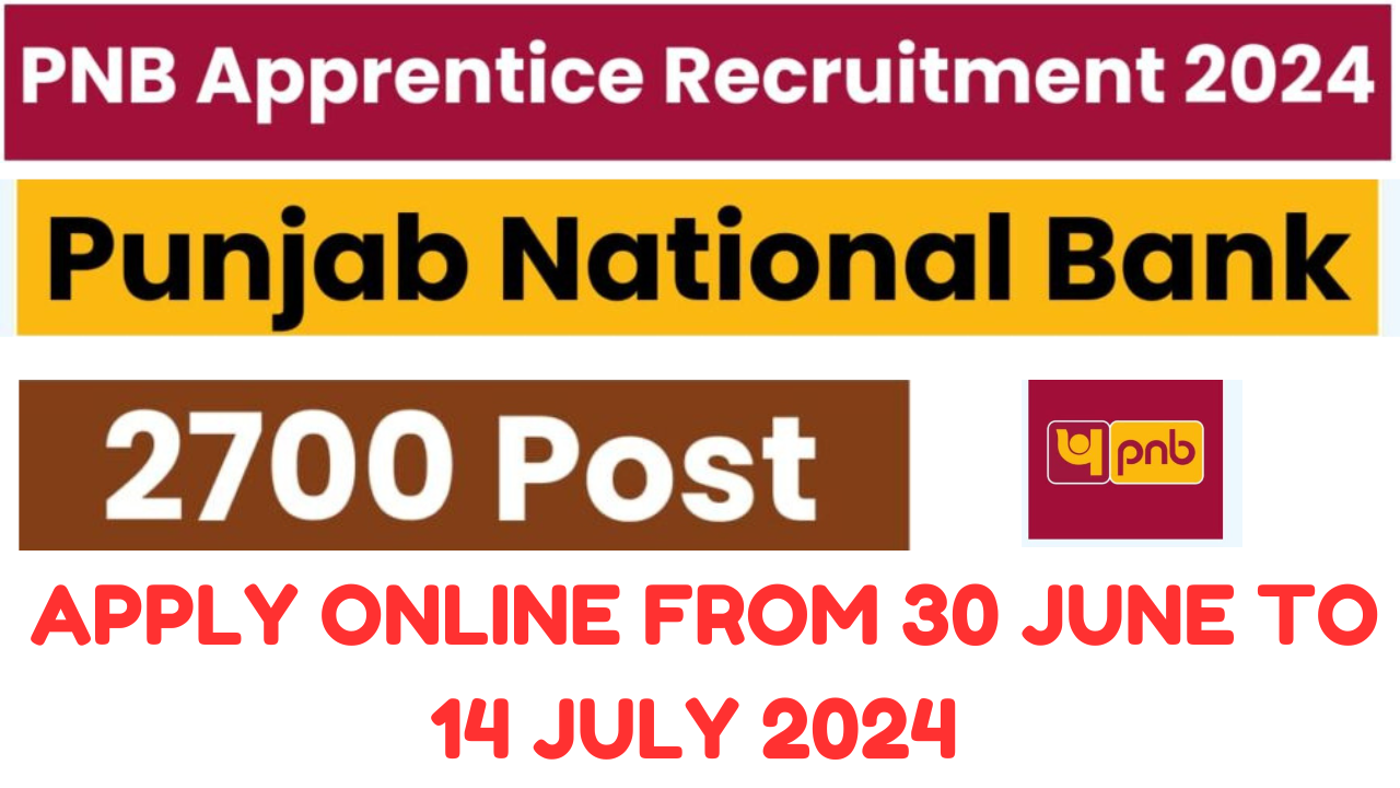 PNB Apprentice Recruitment 2024
