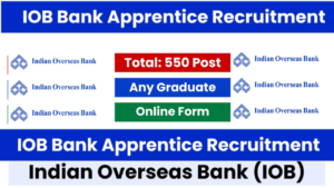 Indian Overseas Bank Apprentice Recruitment 2024