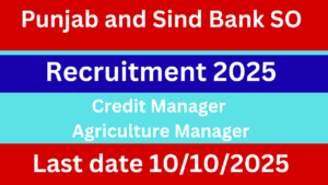Punjab and Sind Bank SO Recruitment 2025